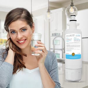 refrigerator water filter